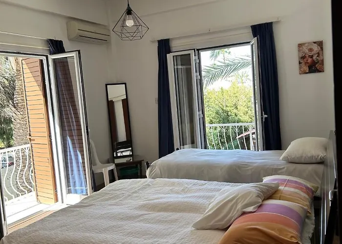 Bougainvillea * Nicosie